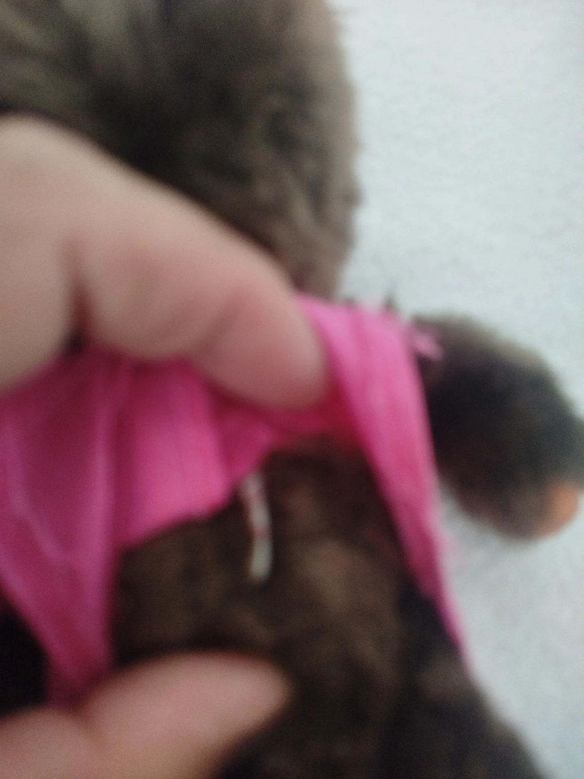 Peluches Monchhichi – photo 10